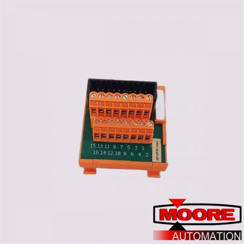 FS-TSDO-0824