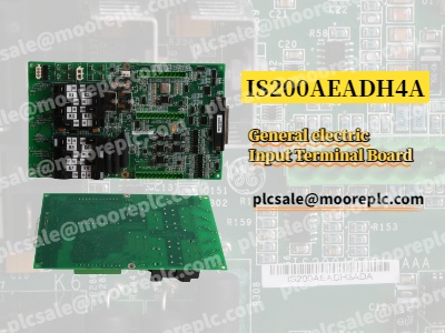 Introdução à placa de terminais IS200AEADH4A