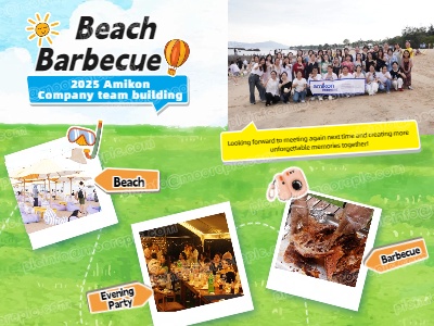 Avaliação do evento de formação de equipes Amikon Beach 2025 | Churrasco, jogos e uma festa despertam a paixão do verão