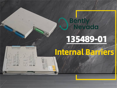 Tudo o que você precisa saber sobre as barreiras internas Bently Nevada 135489-01